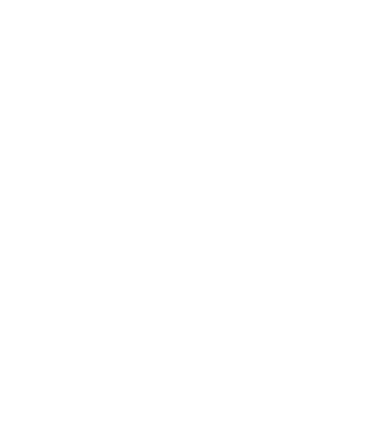 Cyberg logo